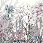 Tropical - Ocean Wonders