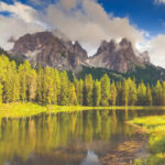 Nature'S Embrace 8801-110