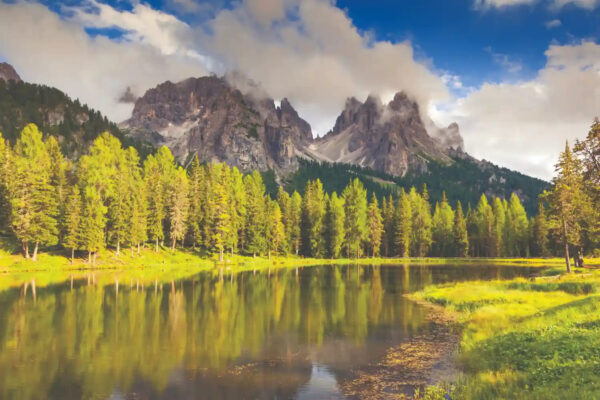 Nature'S Embrace 8801-110