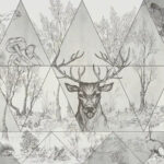 Nature'S Sketch 8801-06