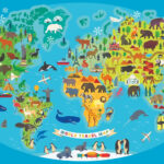 Voyager'S Playland 8801-47