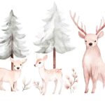 Whimsy Woods - Fawndale 10027