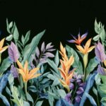 PALMERA 10077-2